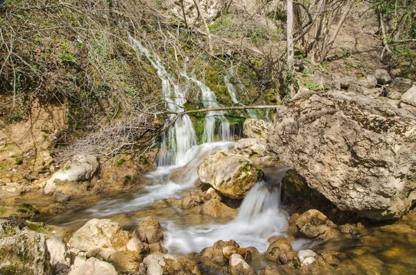 Kaskade i skog – stockfoto