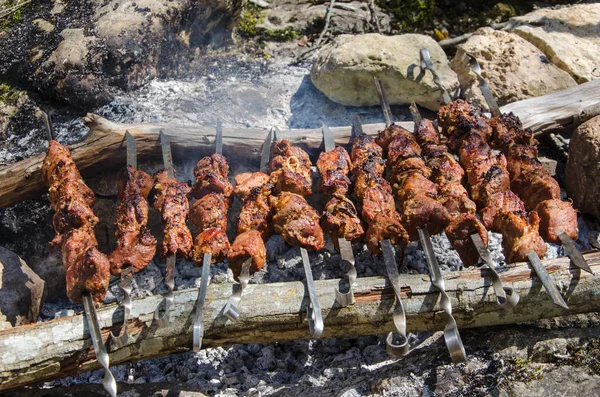 Barbacoa en picnic —  Fotos de Stock