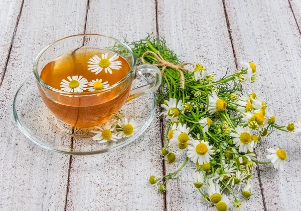 Tisane à base de camomille — Photo