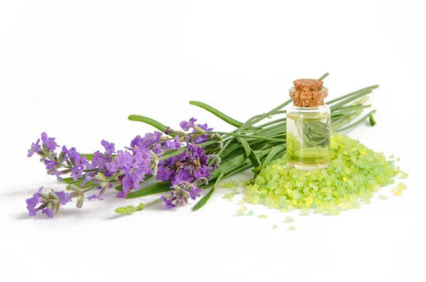 Lavender and salt — Stock Photo, Image