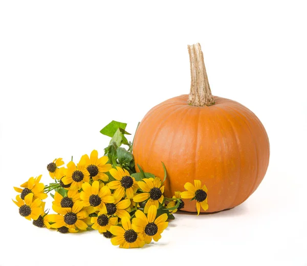 Calabaza y flores de otoño — Foto de Stock