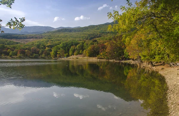 Jezero v lese — Stock fotografie