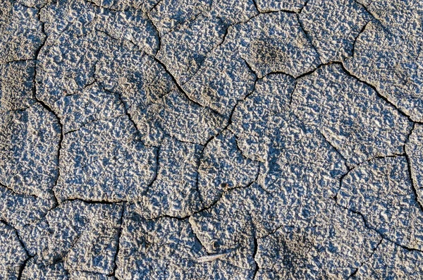 Sůl kryt suché půdy — Stock fotografie