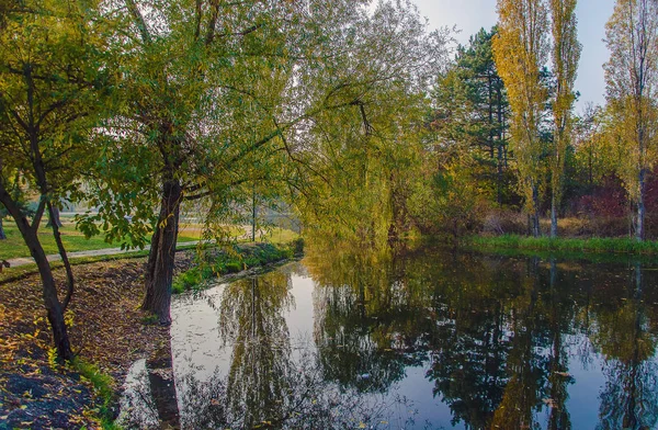 Parque de otoño con lago y árboles —  Fotos de Stock
