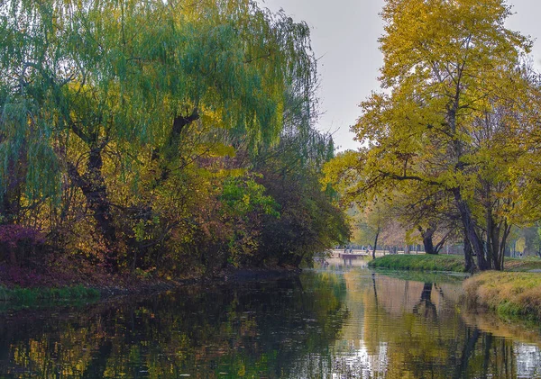 Parque de otoño con lago y árboles —  Fotos de Stock