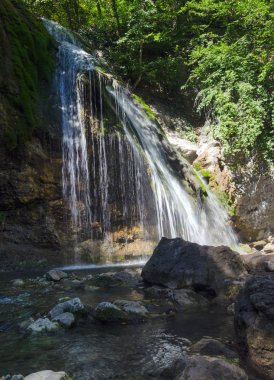 Ormanda kayalar ve şelale