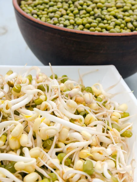 Seedlings vegetarian food in bowl — Stock Photo, Image
