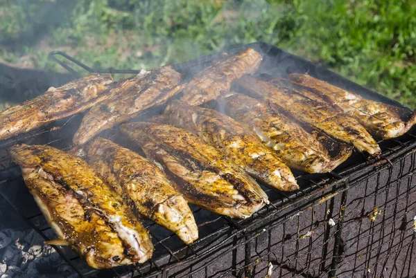 Filete de comida de pescado en el gril —  Fotos de Stock