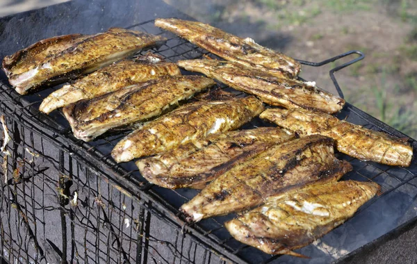 Filet de nourriture de poisson sur le gril — Photo