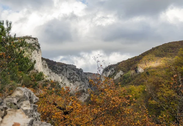 Kanjon och höstskog — Stockfoto