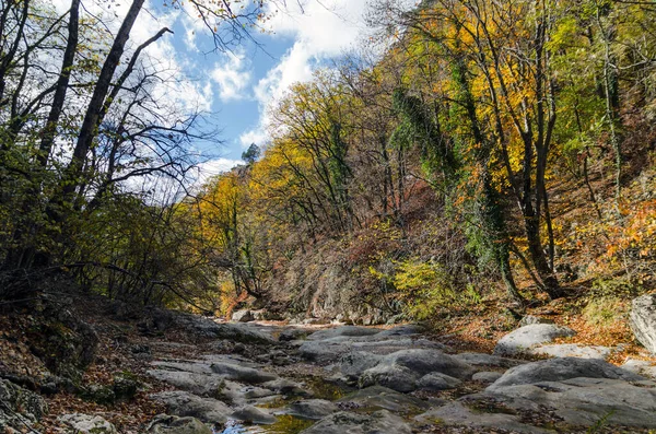 Cascata na floresta de outono no cânion — Fotografia de Stock
