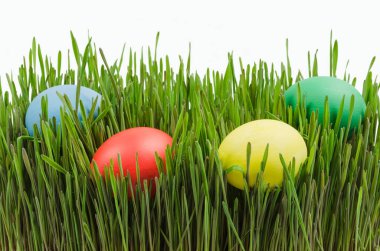 Renkli yumurtalar ve buğday filizleri