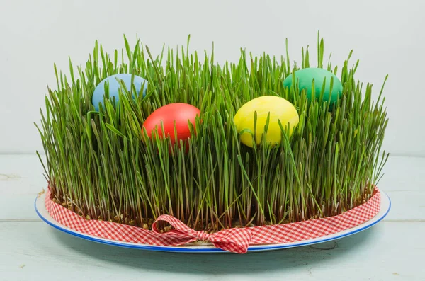 Färgglada ägg och vetekorn — Stockfoto