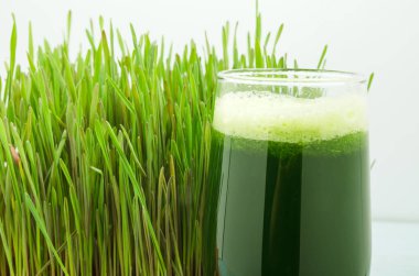 buğday çimi suyu ile filizlenmiş buğday