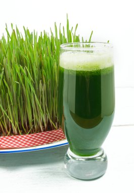 buğday çimi suyu ile filizlenmiş buğday