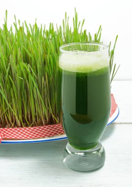 buğday çimi suyu ile filizlenmiş buğday