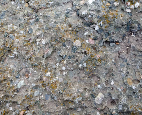 Háttér Természetes Kőből Cementezett Kavicsokból — Stock Fotó