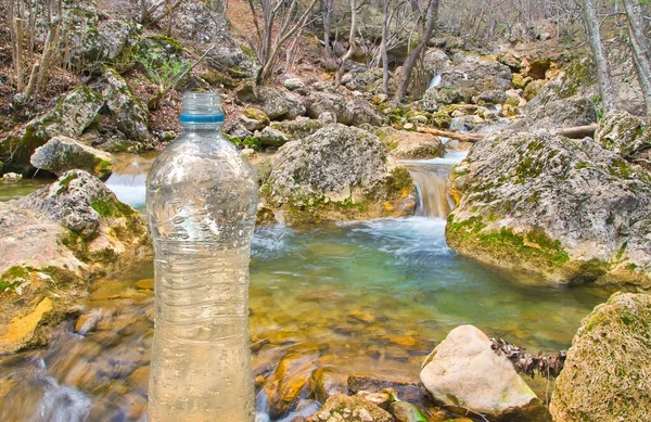 Bouteille Eau Source Plastique Avec Eau Dans Forêt Printemps — Photo