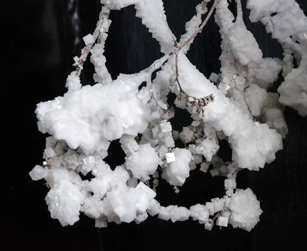 Siyah Arkaplanda Beyaz Tuz Kristalleri — Stok fotoğraf