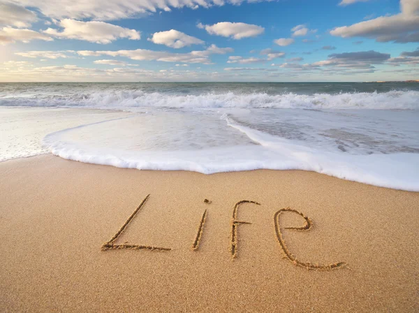 Palavra de vida no mar — Fotografia de Stock