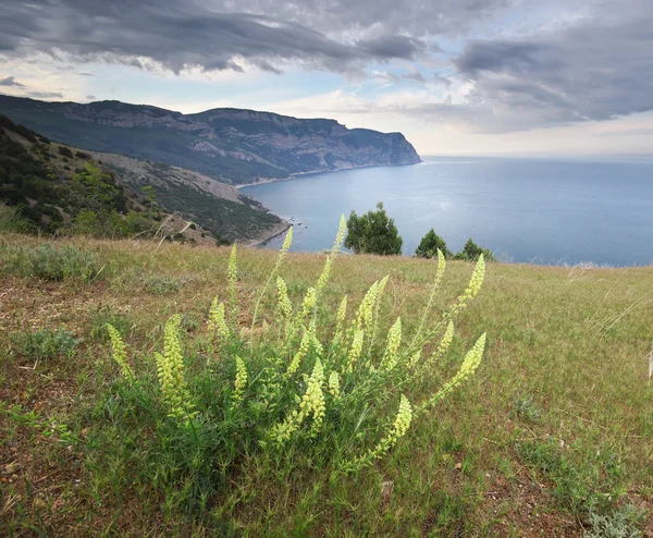 Mountain and sea. — Stock Photo, Image