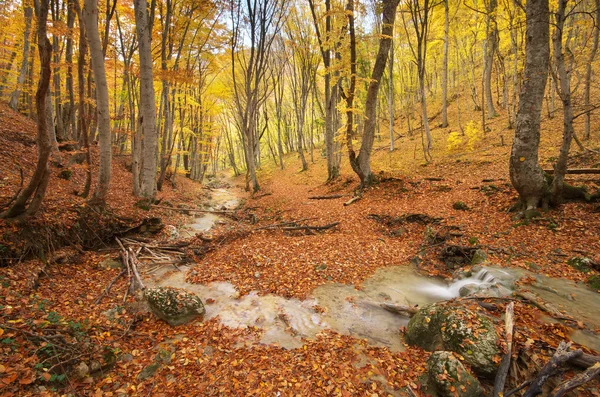 秋の自然の風景. — ストック写真