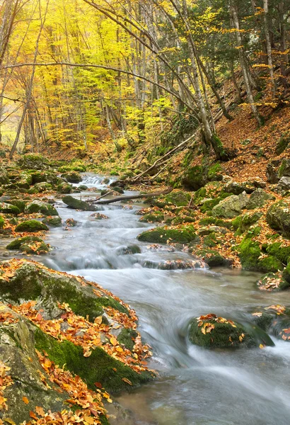 Herbstliche Naturlandschaft — Stockfoto