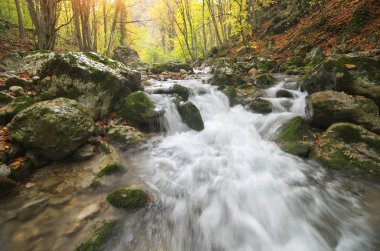 Sonbahar manzara doğa.