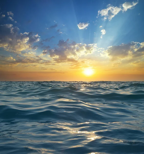 Welle bei Sonnenuntergang. Zusammensetzung der Natur. — Stockfoto