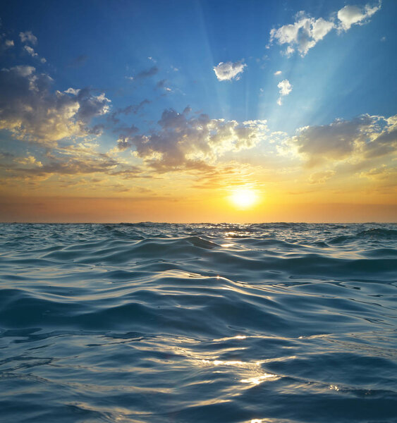 Wave on sunset. Nature composition. 