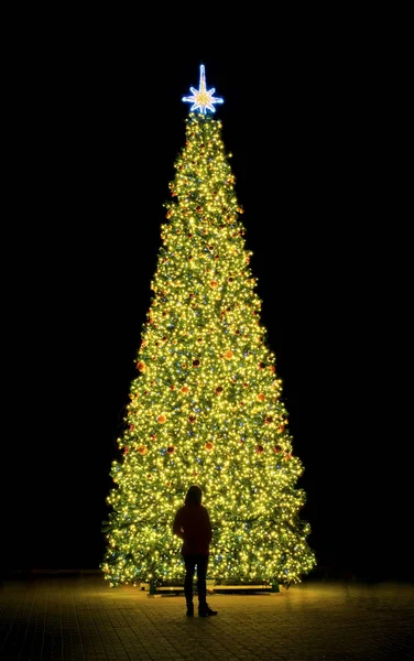 New year fir-tree and silhouette of person — Stock Photo, Image