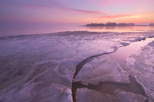 Icy nature morning — Stock Photo, Image