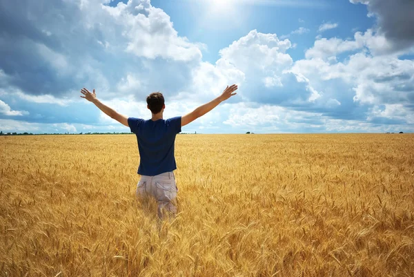 Man in yellow wheat meadow — Stok Foto