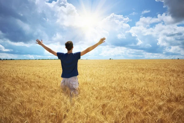 Чоловік на жовтому пшеничному лузі — стокове фото
