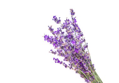 Lavanta demet. Yalıtılmış nesne.