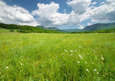 Dağdaki yeşil çayır. 