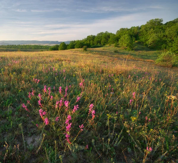 Bergslandskap natur. — Stockfoto