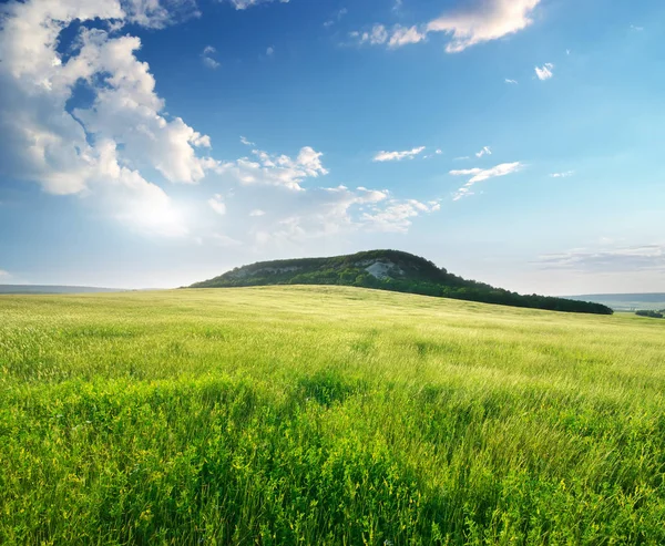 Прекрасний ландшафтний весняний луг — стокове фото