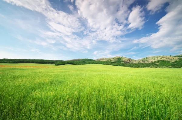 山の緑の牧草地. — ストック写真