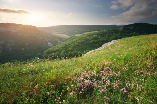 Sonniger Morgen in den Bergen. — Stockfoto