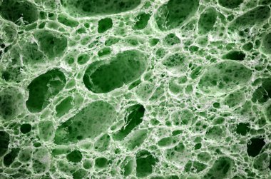 Biyolojik doku makro.