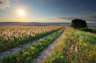 Dağ yol şeritli yolda.