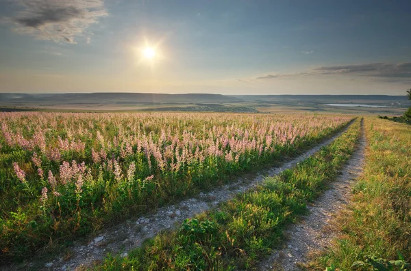 Dağ yol şeritli yolda — Stok fotoğraf