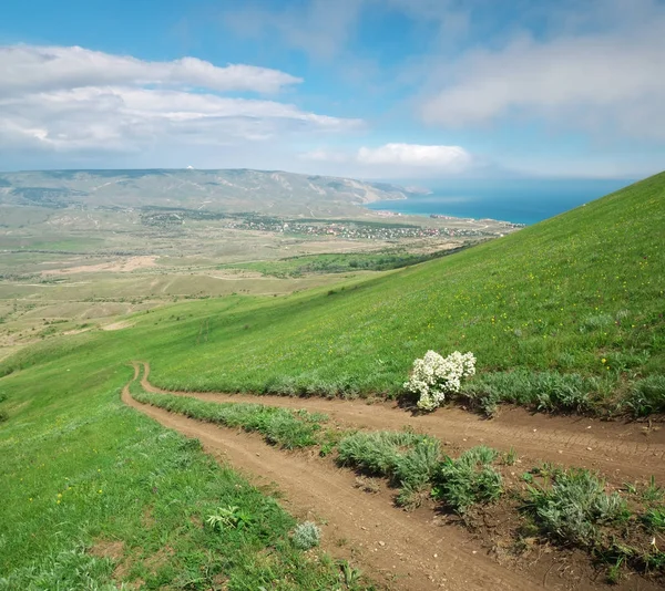 Passo a passo e colina verde — Fotografia de Stock