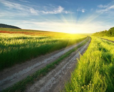 Yol şeridi ve derin mavi gökyüzü