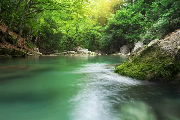 Jezero v lese. — Stock fotografie