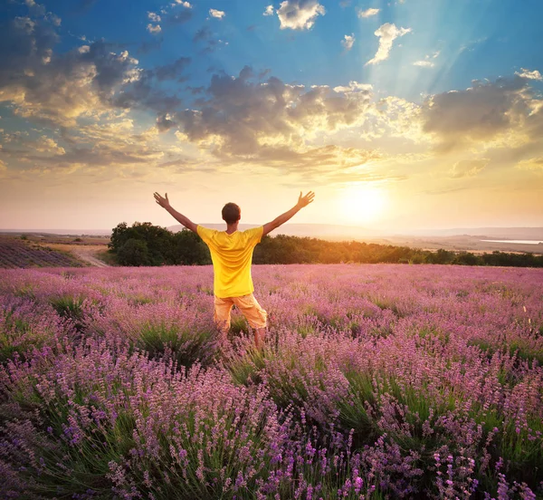 Man in meadow of lavender. — Stock Photo, Image
