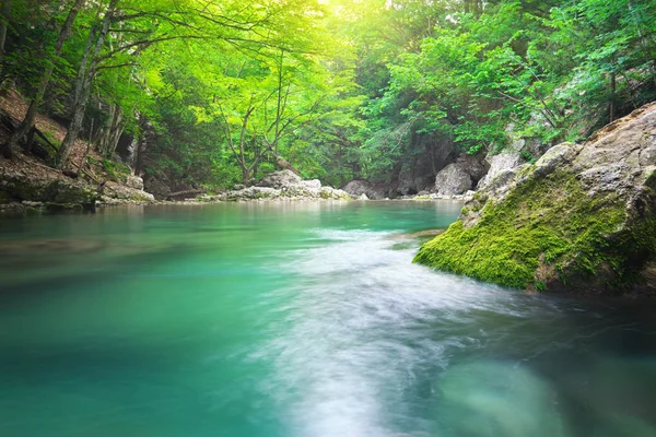 Jezero v lese. — Stock fotografie