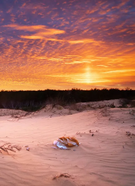 Beautiful landscape in desert — Stock Photo, Image