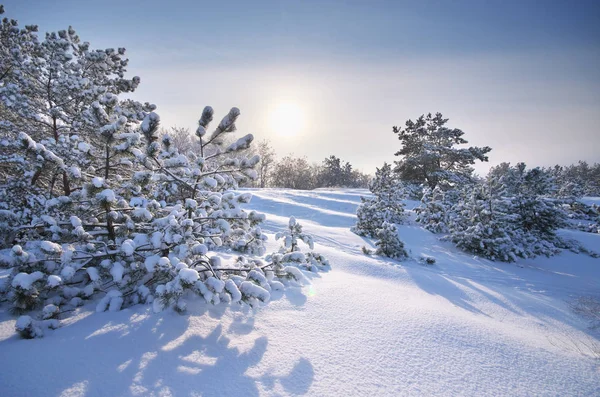 Winter landscape nature. — Stock Photo, Image